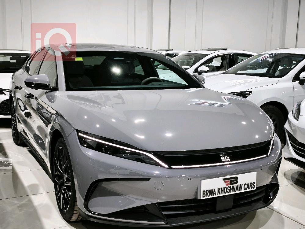 بي واي دي هان